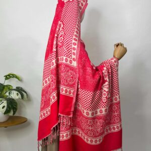 pashmina_21_f924cdaf-5f09-484d-ac25-503f9b305c01